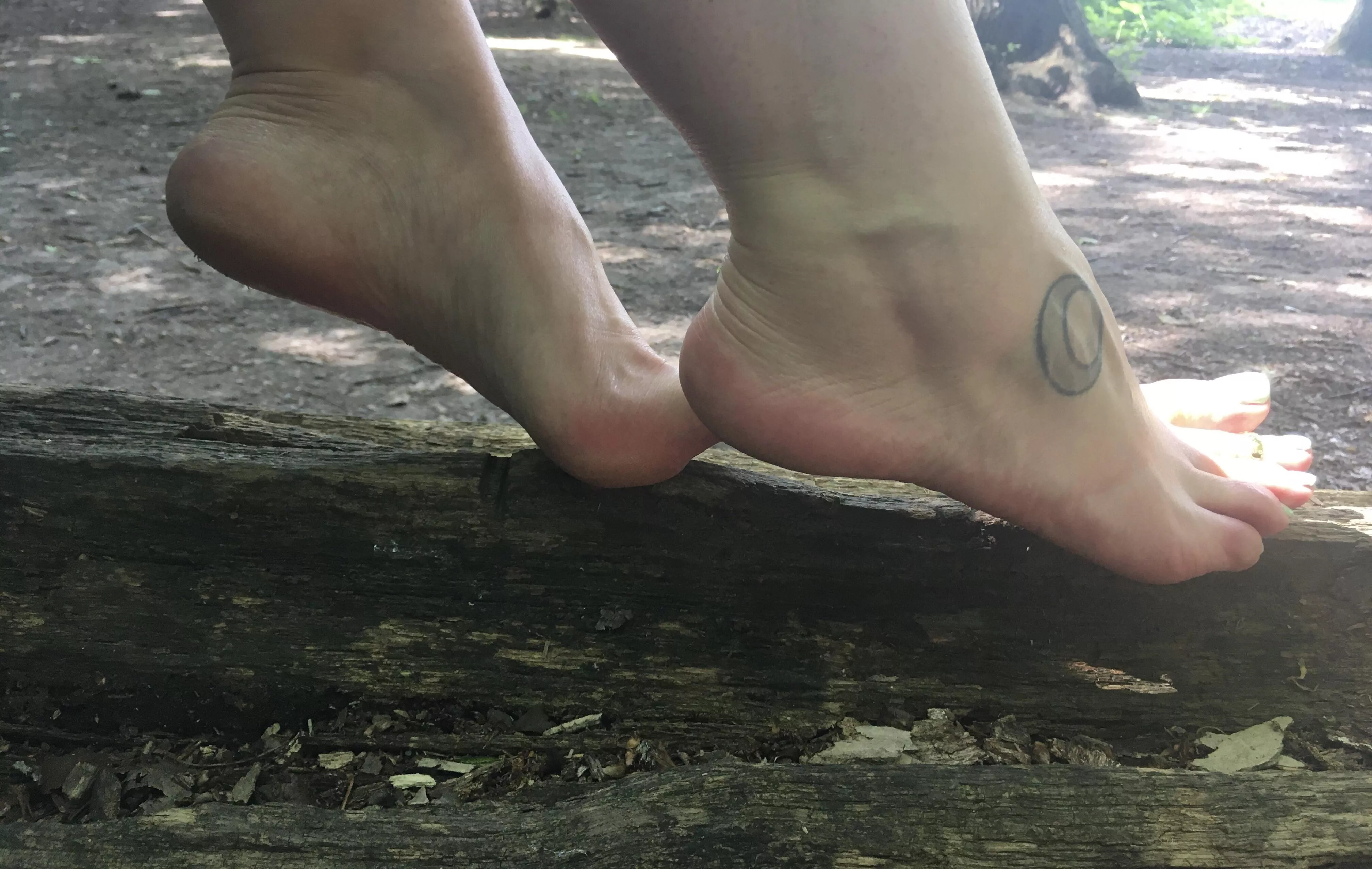 In the woods