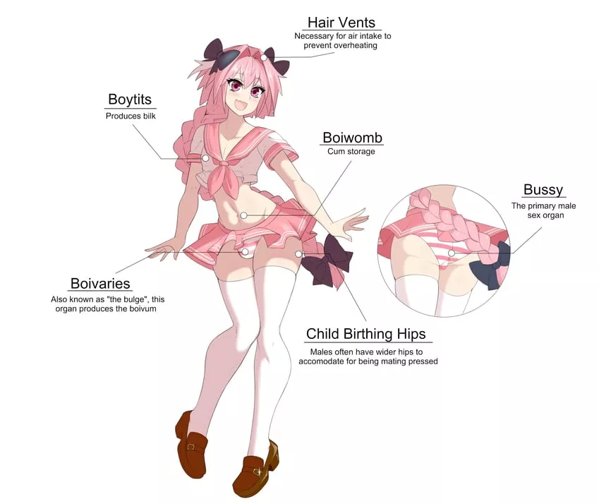 A Lesson on Anatomy
