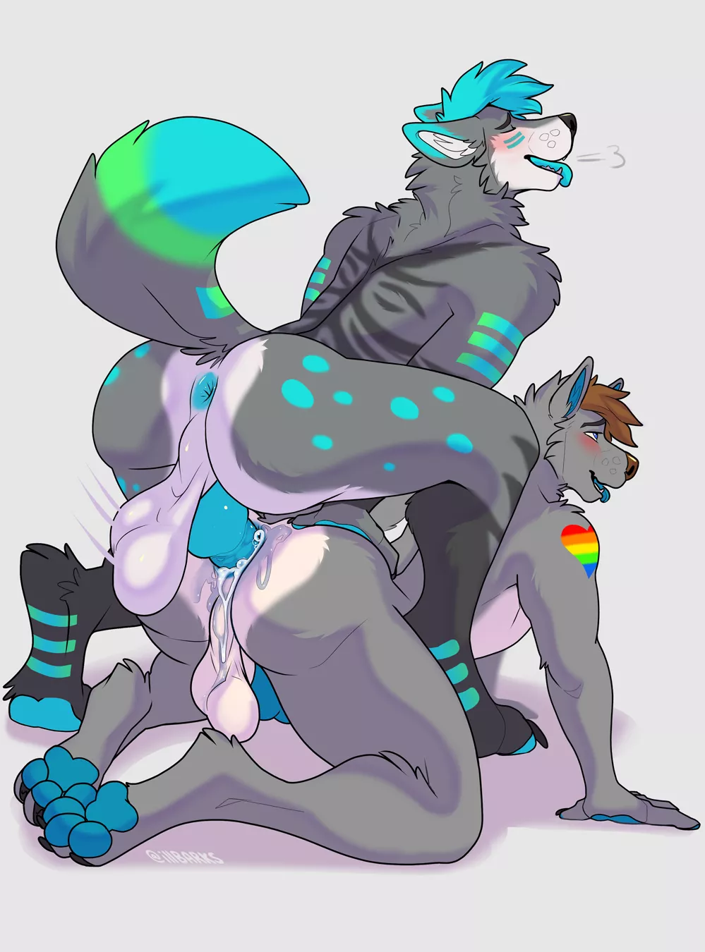 the VIEW (Illbarks)