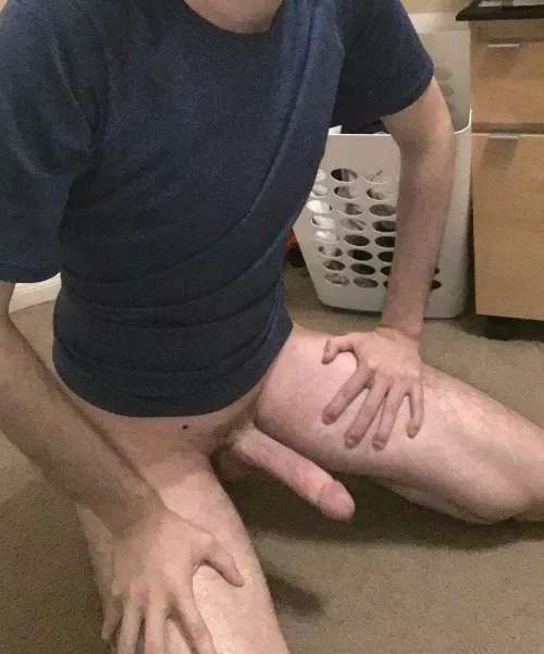 Don’t tell me you’re afraid of my “big bad wolf”