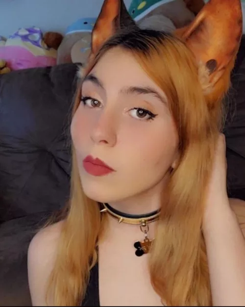 Do I look like I want your bone?