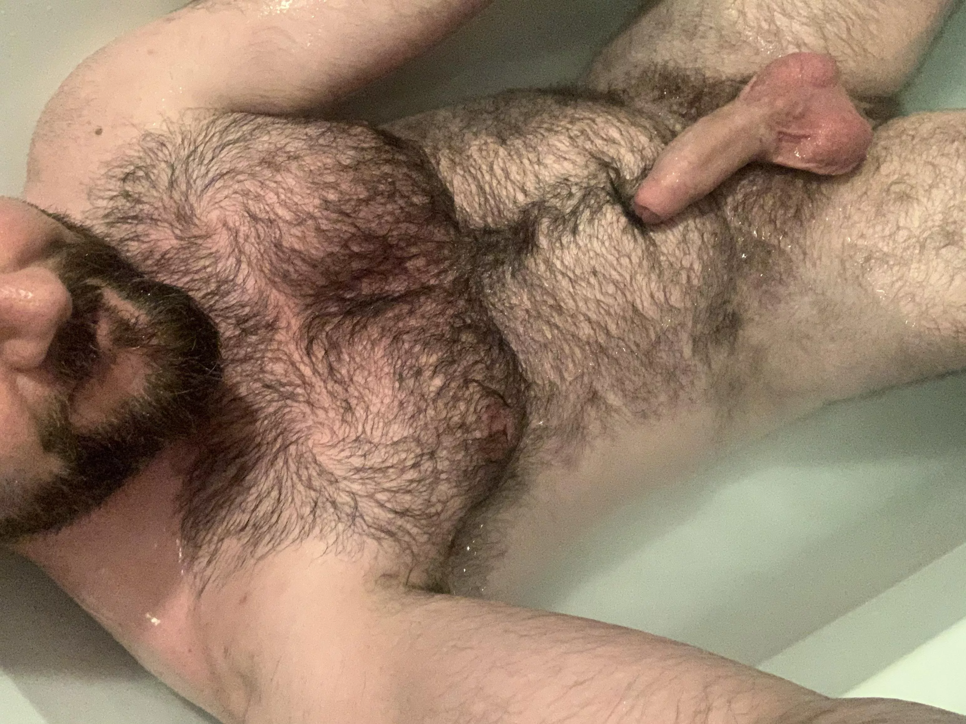 ��Hows My Fur?