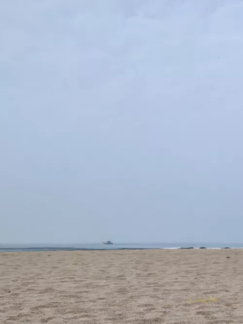 spotted a fishing trawler!