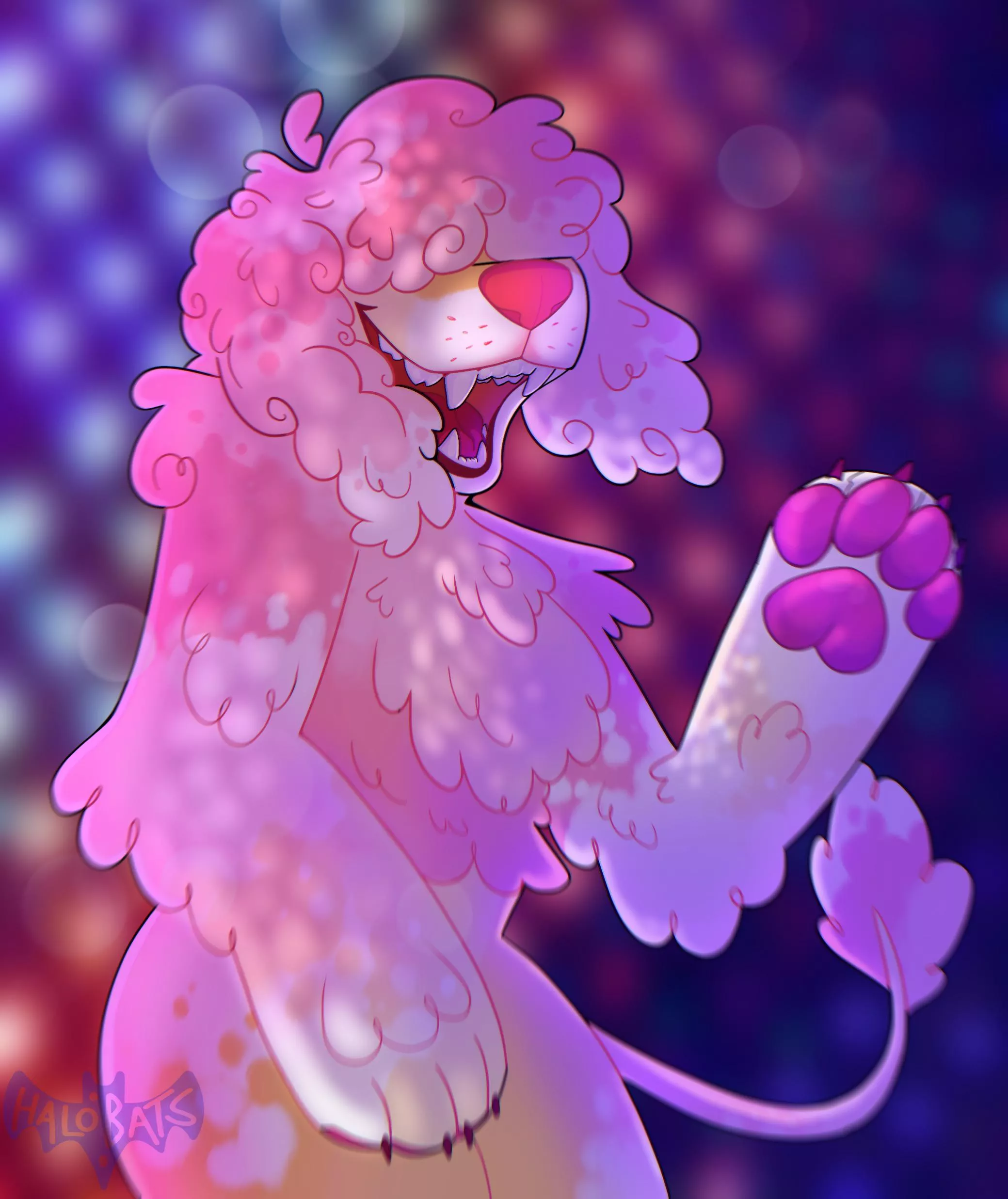 disco dog 🪩