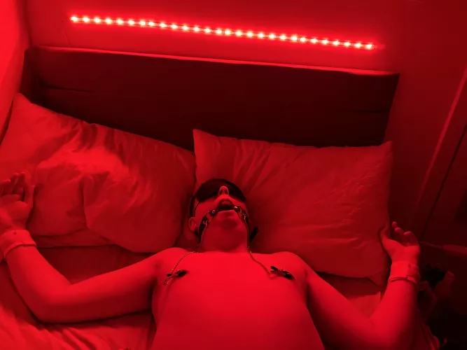 Doesn’t he look so cute, all tied up and nowhere to run 😈