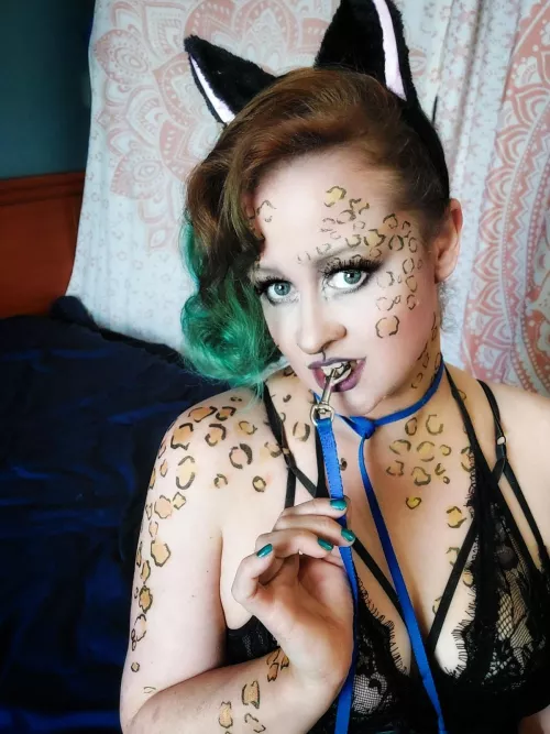 I just want to be a cat...would you pet me?😽