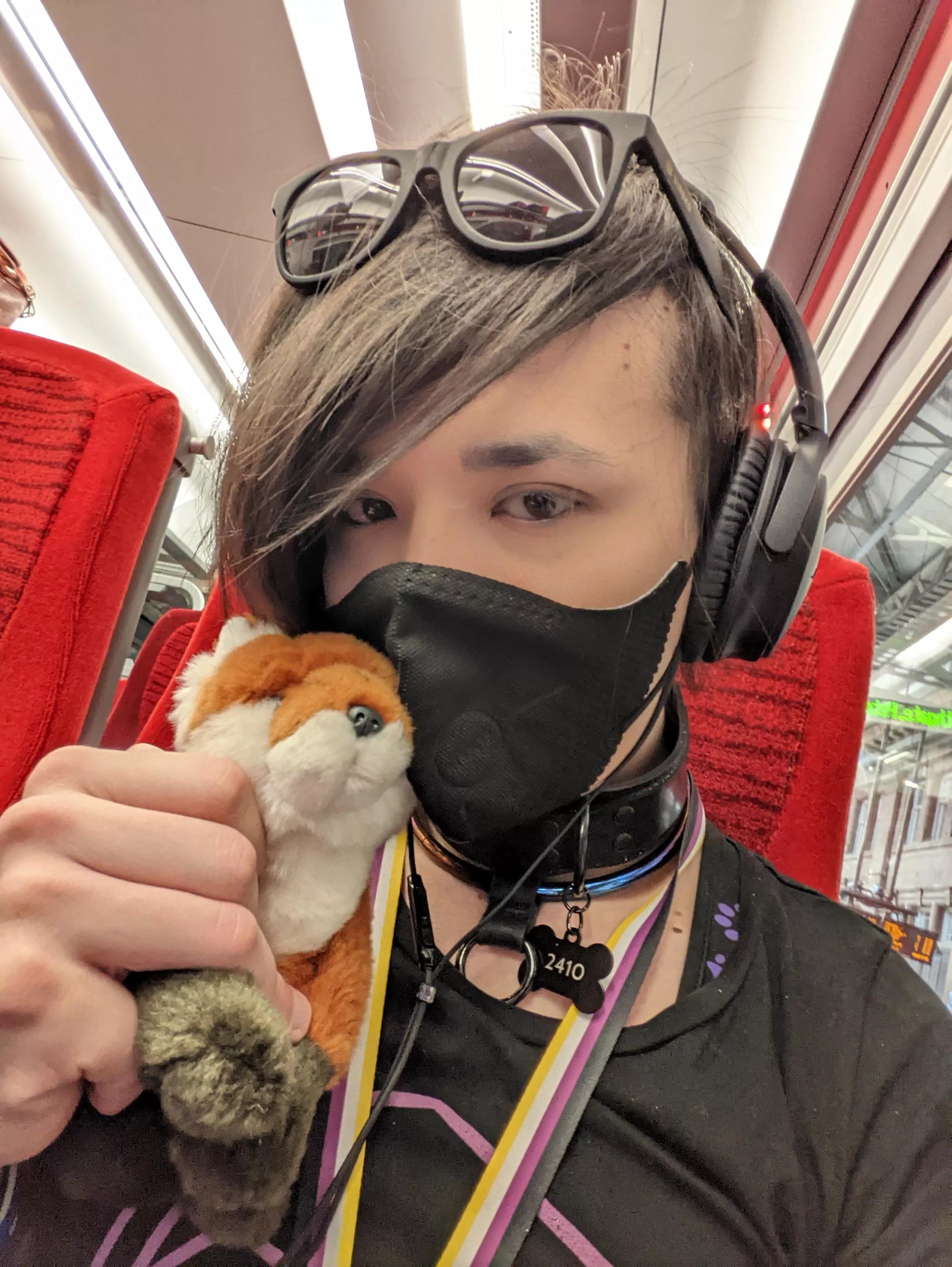 Train surfing
