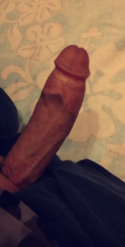 DMs open if your interested in more bbc content