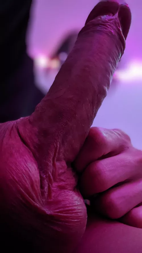 come worship my balls 🤤