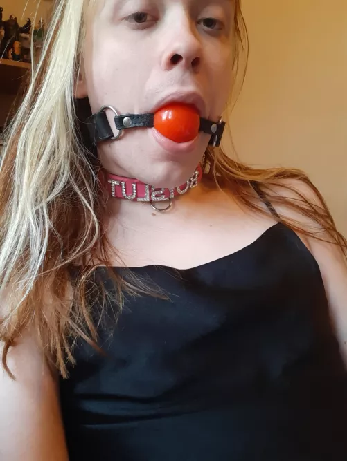 Got a new collar, had to pair it with something ✨