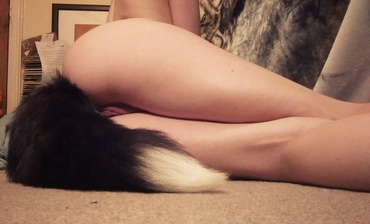 little kitten girl