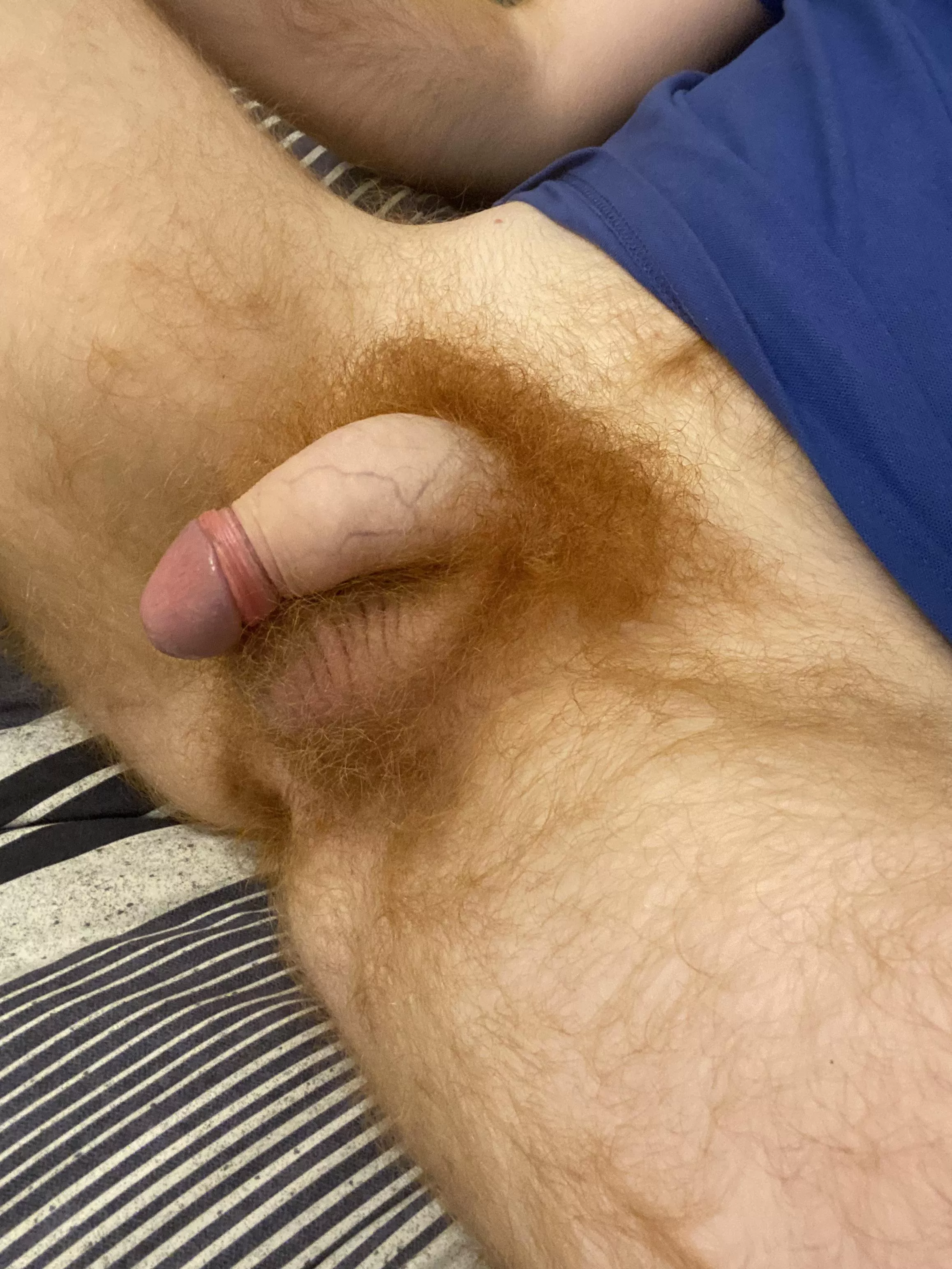 Full bush