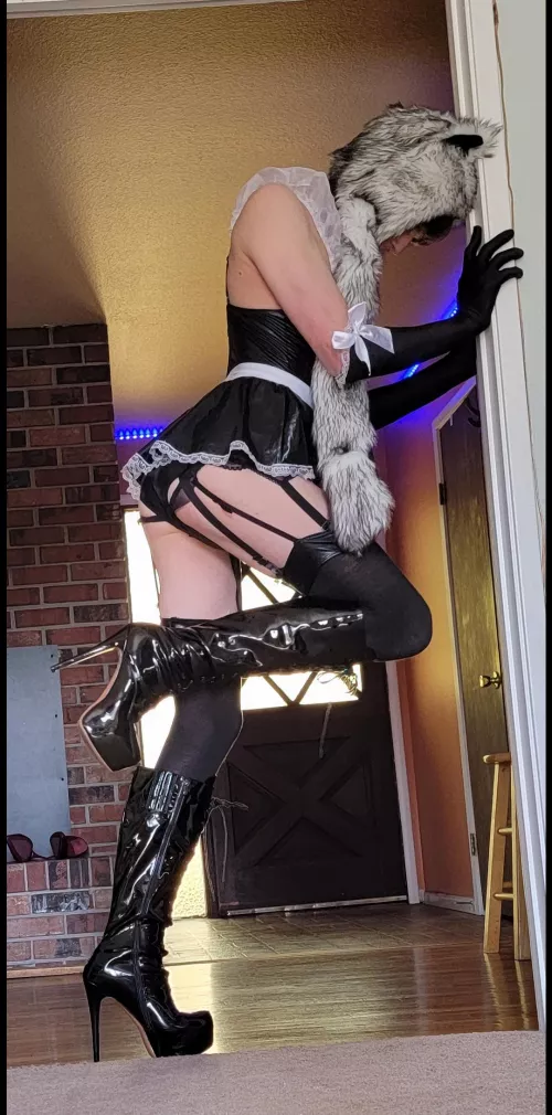 can you tell I'm caged? 😁