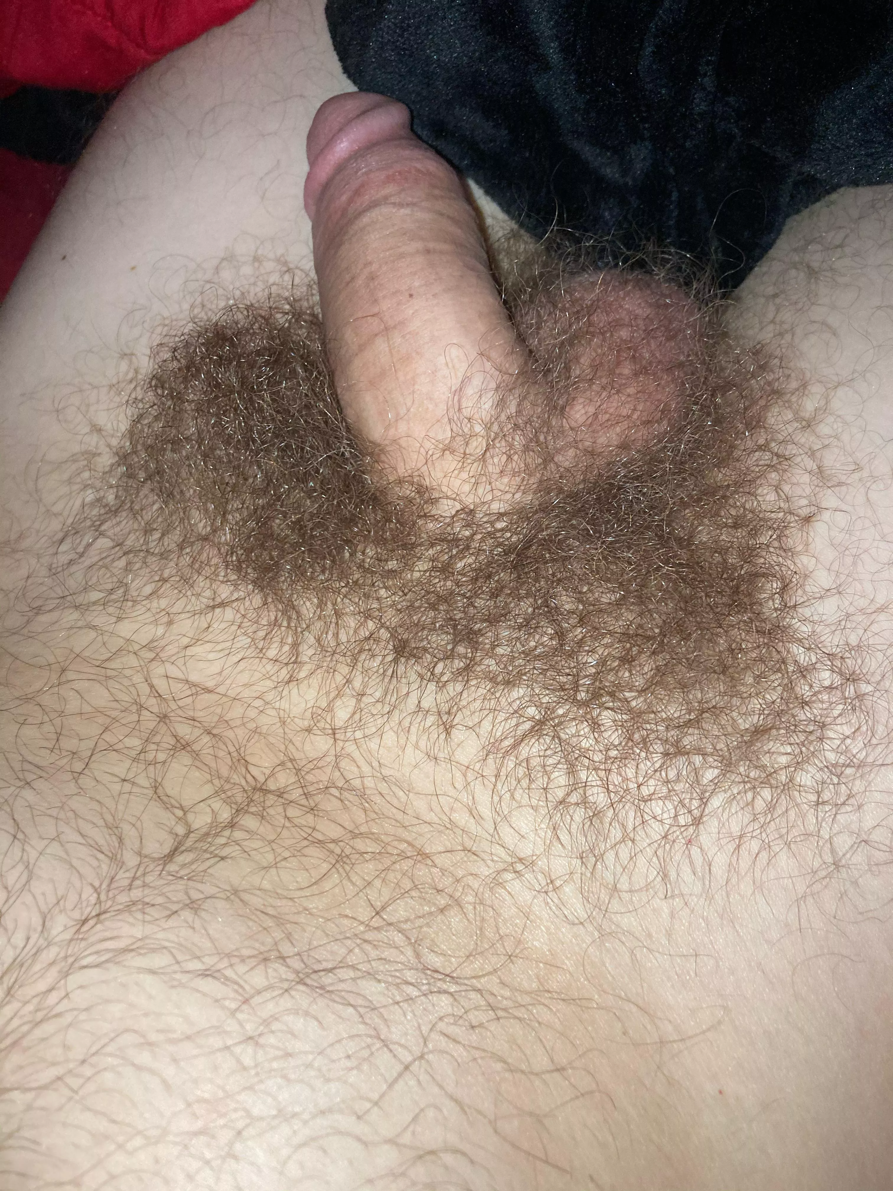 Soft dick. Haven’t shaved in about a year