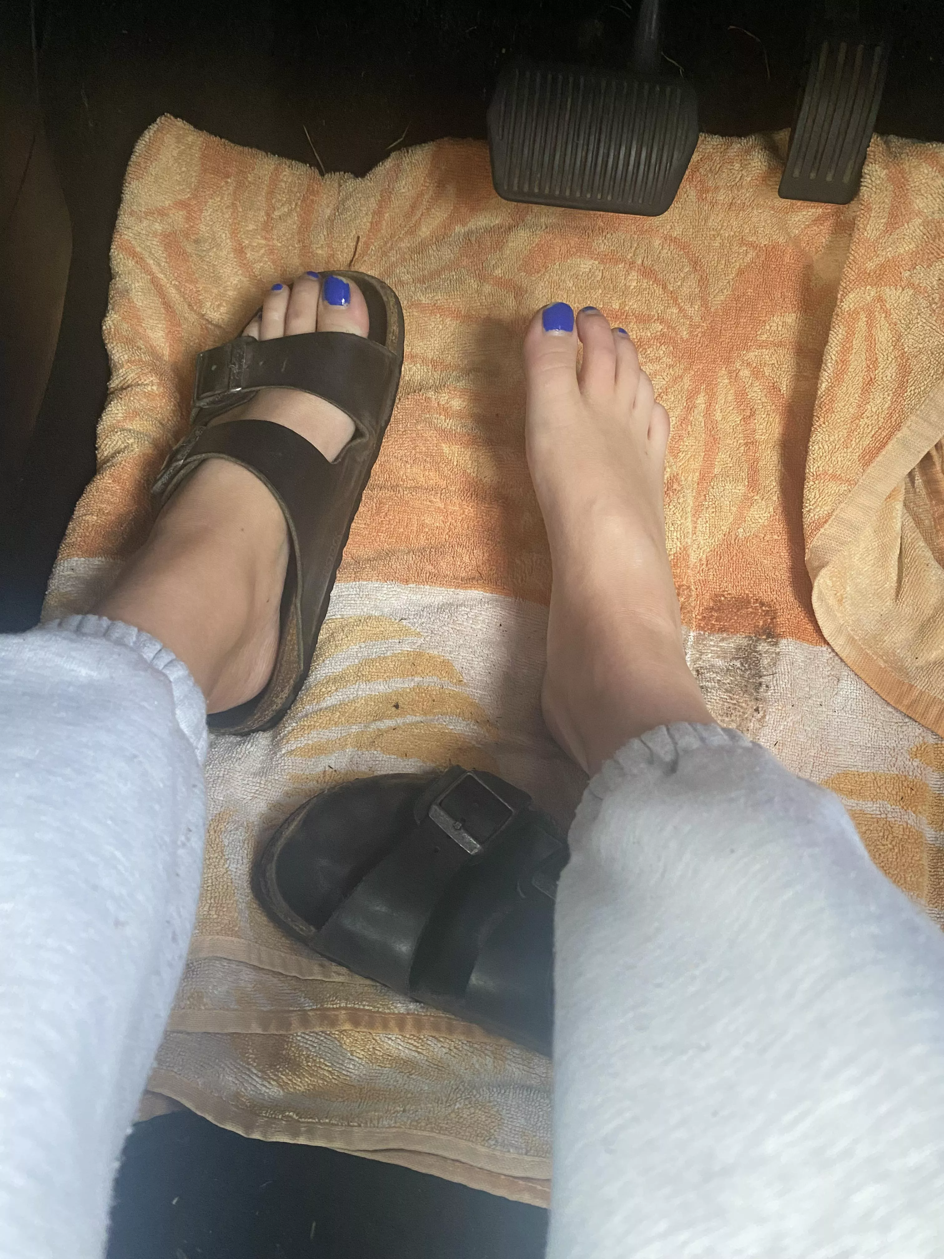 Lick my birks clean 👅