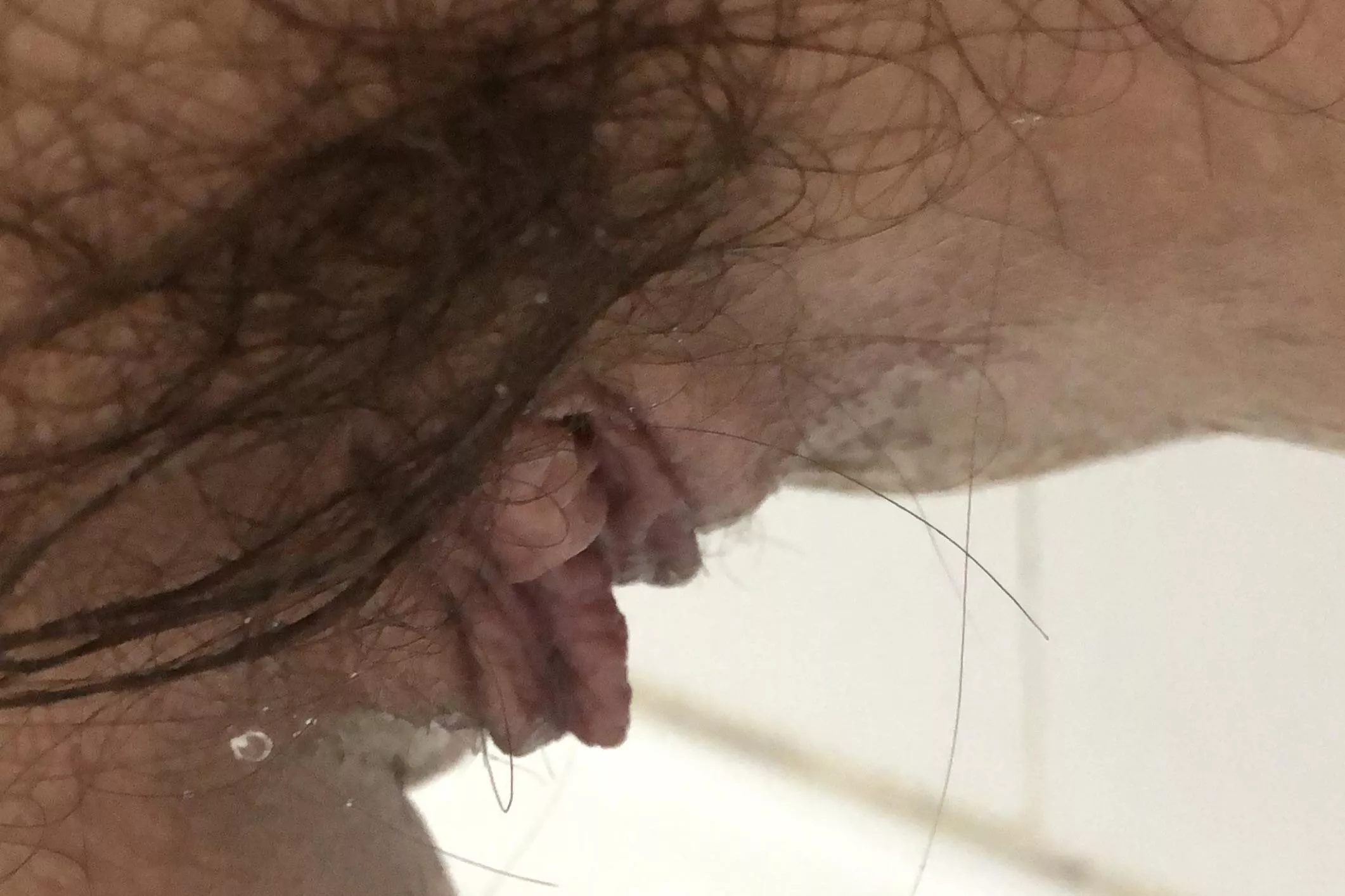 say me if you would suck my hairy pussy