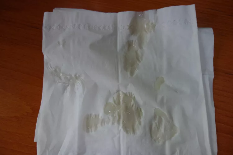 Wish you were here with me 😈! (24, GAY) The LINK is in my profile bio/description 😜