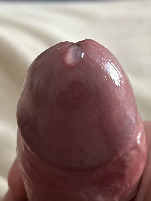 Getting milkier as I get closer