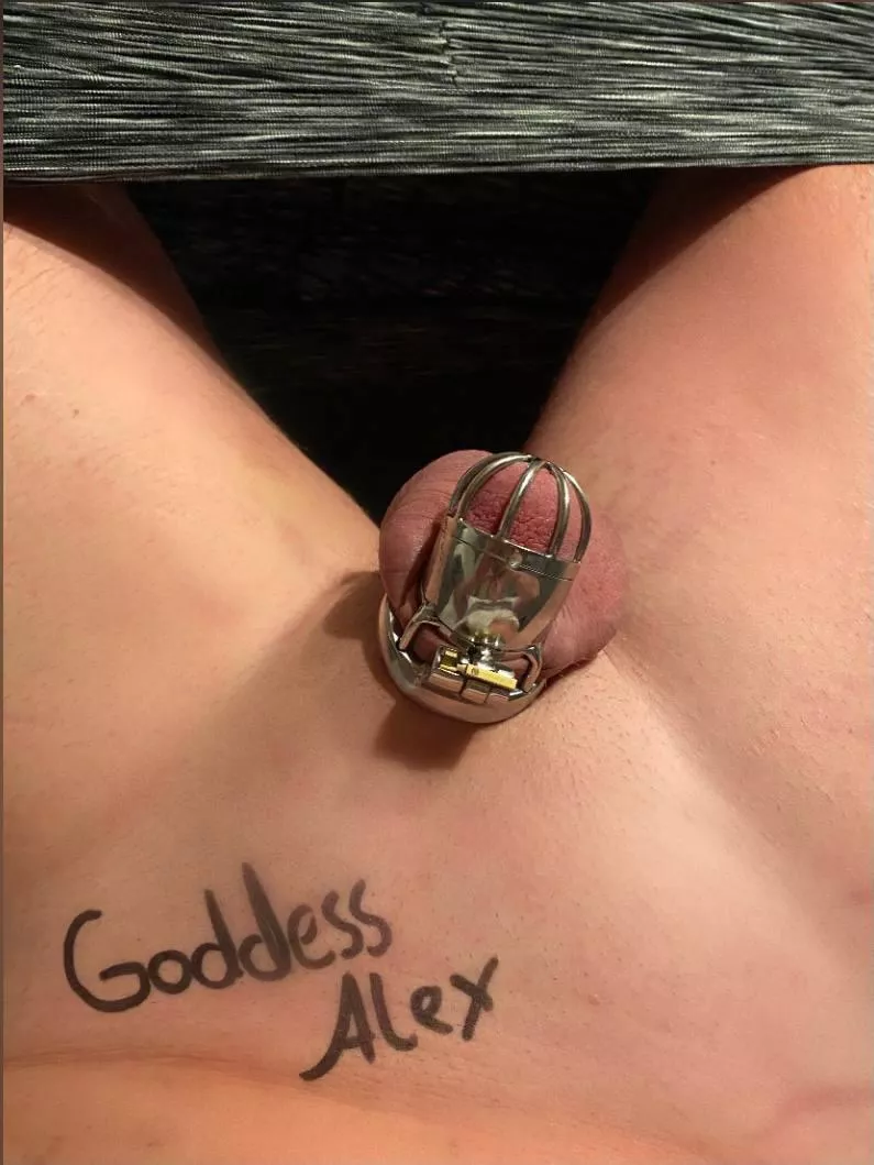 🔐🔓