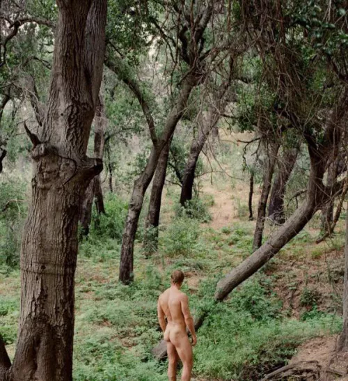 “In the woods” …