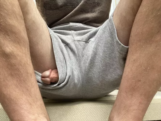 Just wanted to say Hi 👋