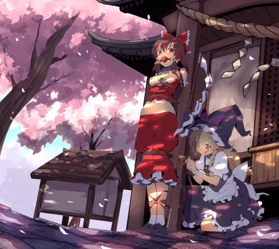 Marisa ties Reimu at Hakurei Shrine