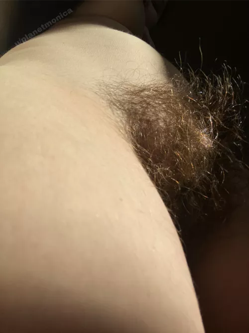 my bush loves the sun 💖