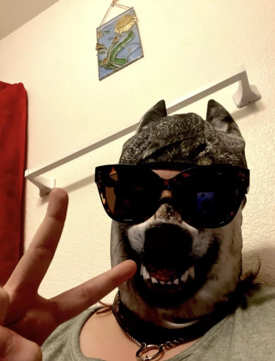 Hi pups