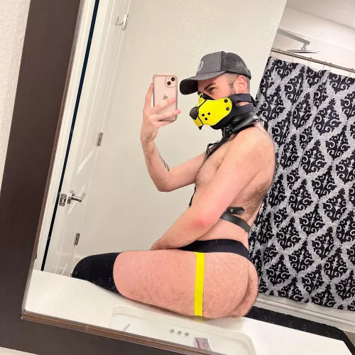 A friend gifted me my first ever hood a few weeks back!