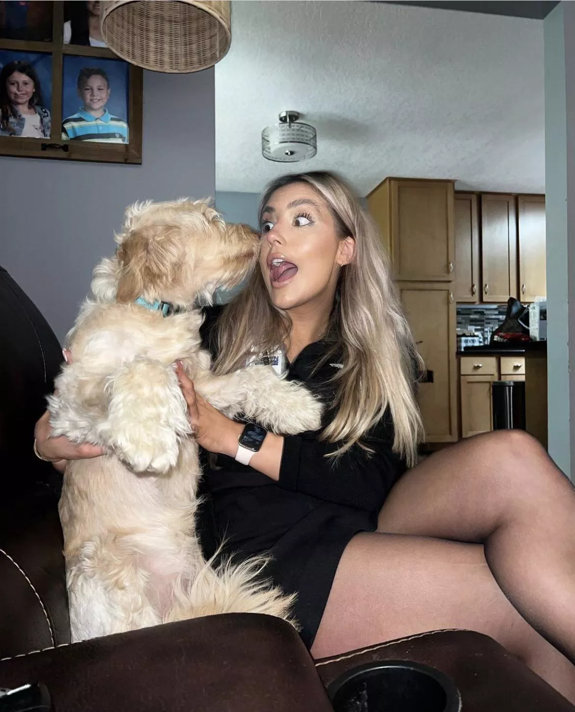 Cute puppy