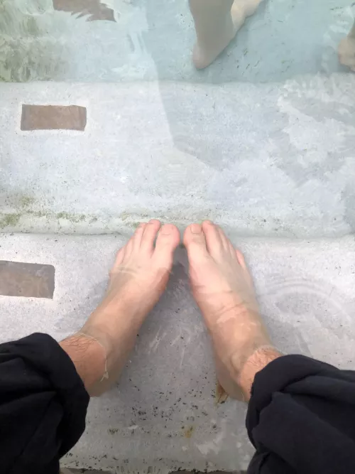 love dipping my feet in the pool