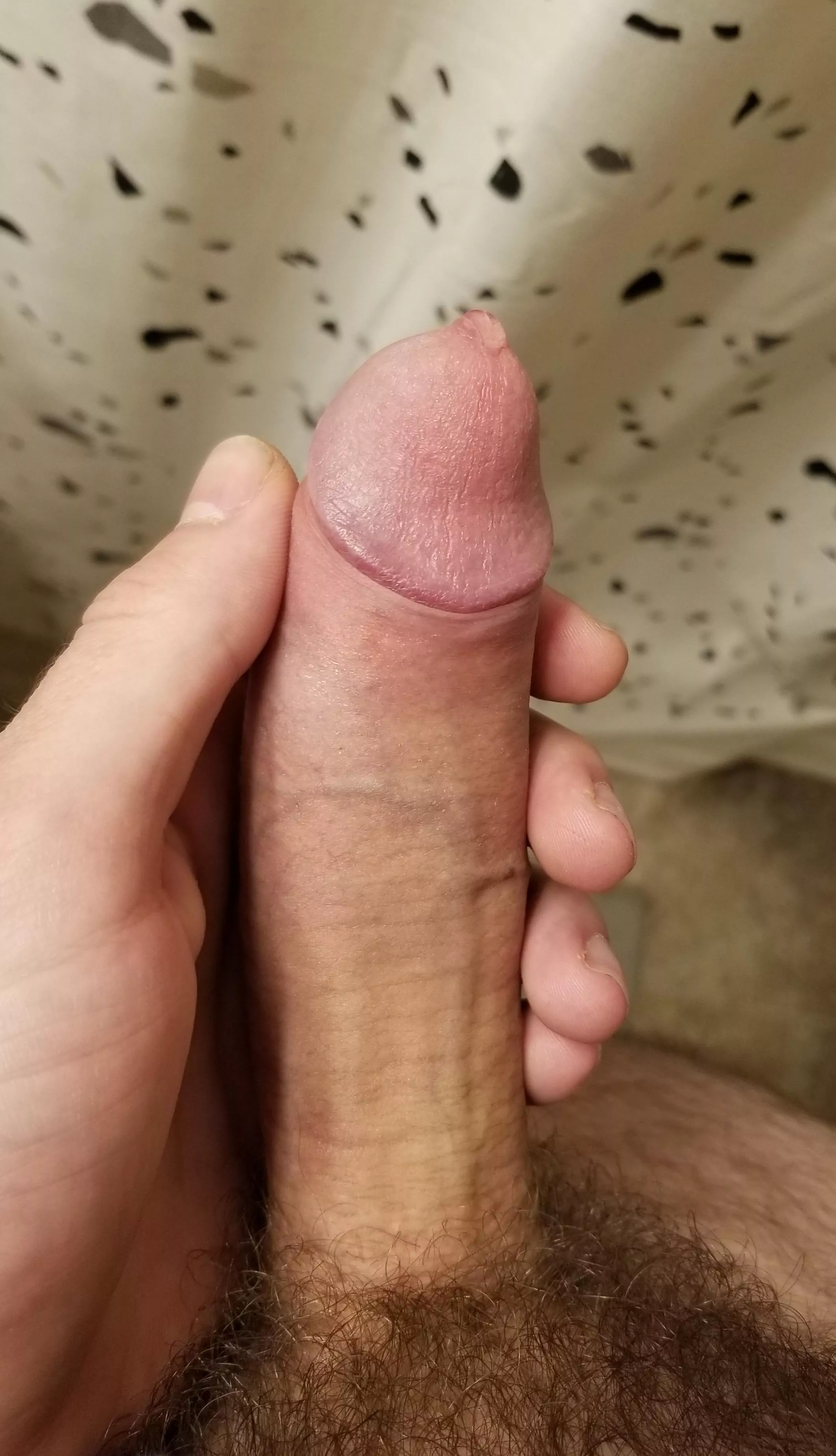 Lick The Tip?