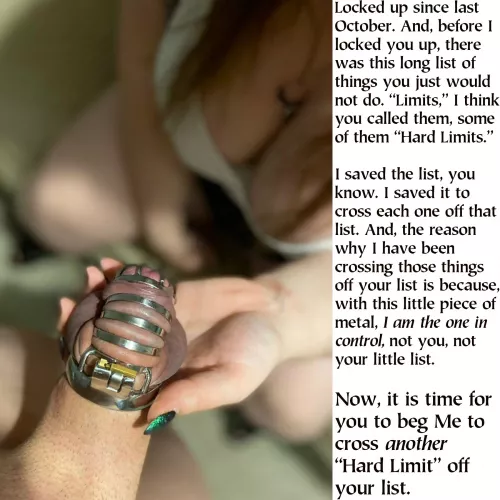 Not much of the list remains. Horizons have been truly expanded. Then there are the perversions She will have him do that he did not think to put as his limits.