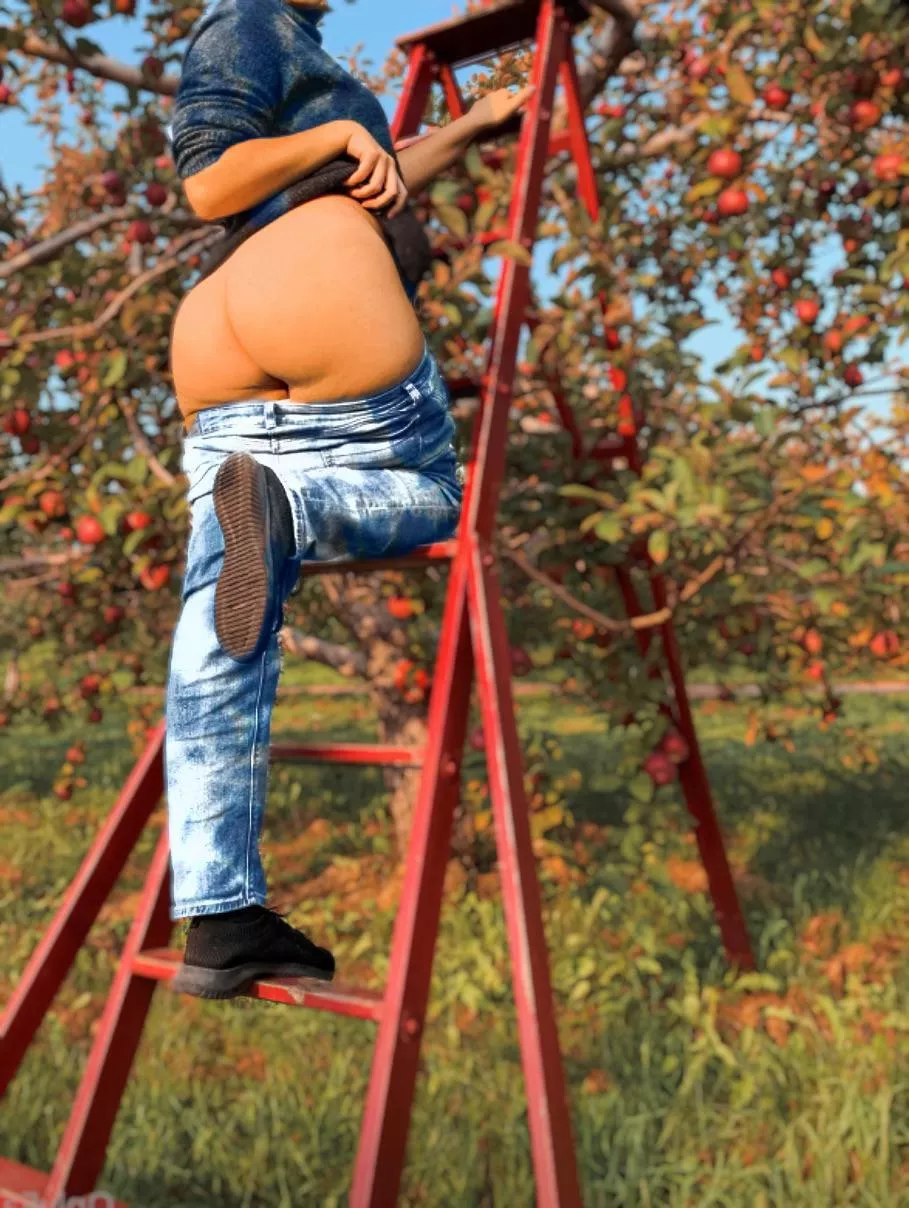 Ladder sex, anyone?