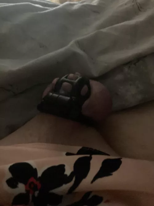 Not behaving herself this morning. One swollen sissy clitty