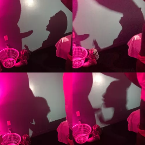 Something a bit different. Hubby was filming me with one bull and another noticed the shadow puppets we were making and took these pictures of me getting my head palmed like a basketball.
