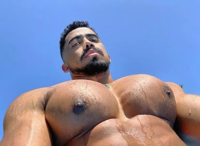 Jess Mesino