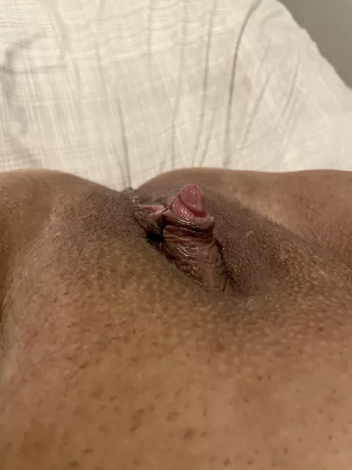 Fully aroused and ready to play