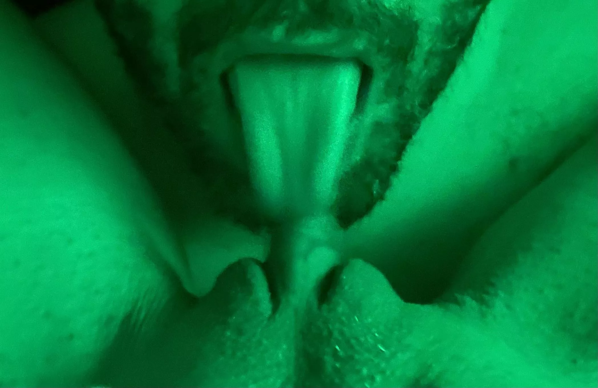 Homecumming.