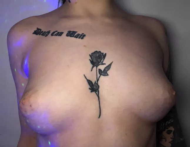 Small perky titties 🐱