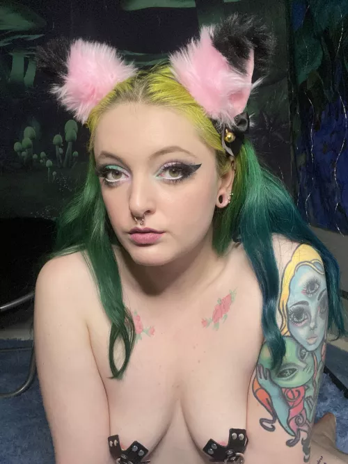 Colorful kitten 🌈