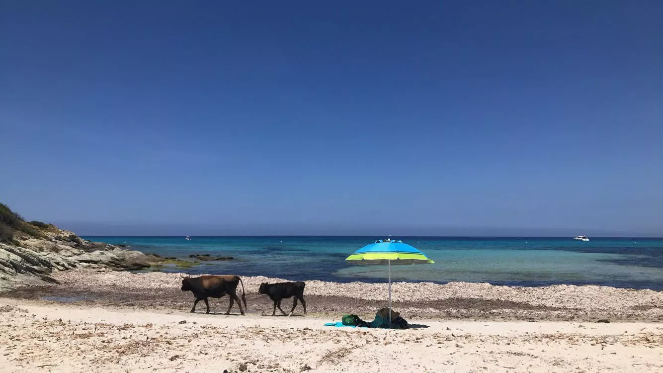 Corsica !