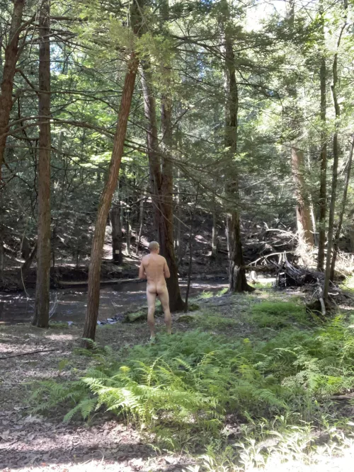 Beautiful morning out checking trail cams this morning.