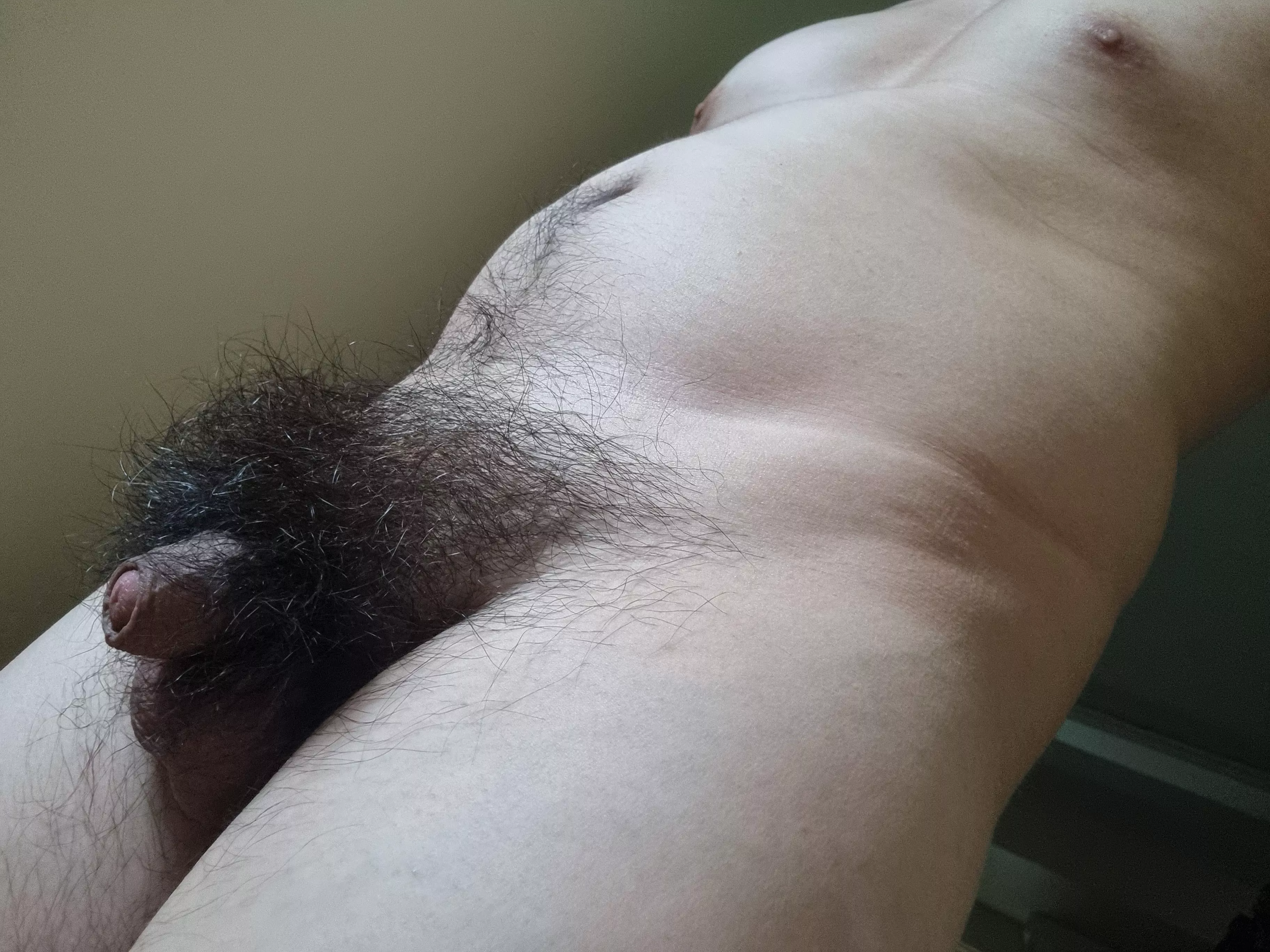 more bush