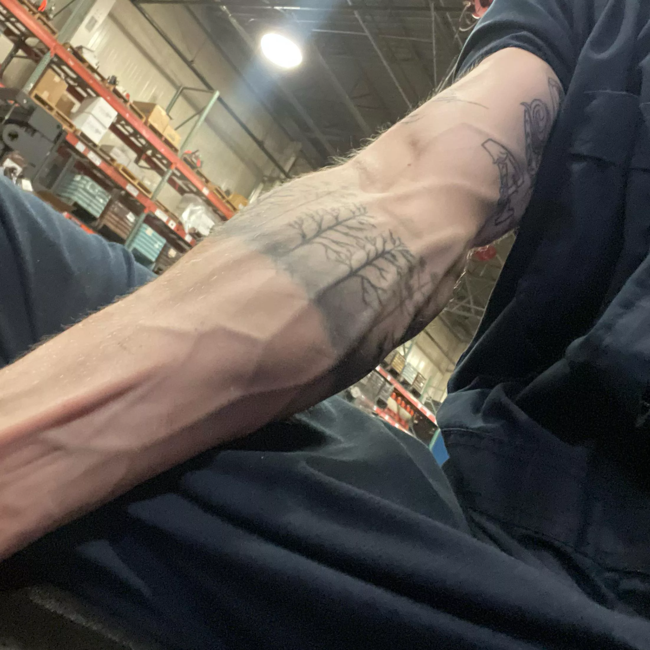 Vascularity