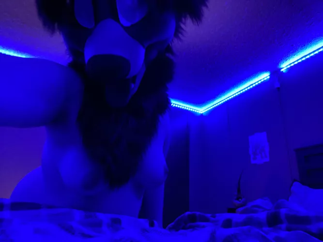 Doing personalized pic/video commissions. HMU if your interested 😏