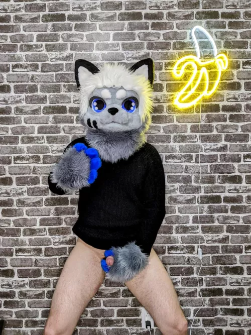 Just the tip again ! 😹