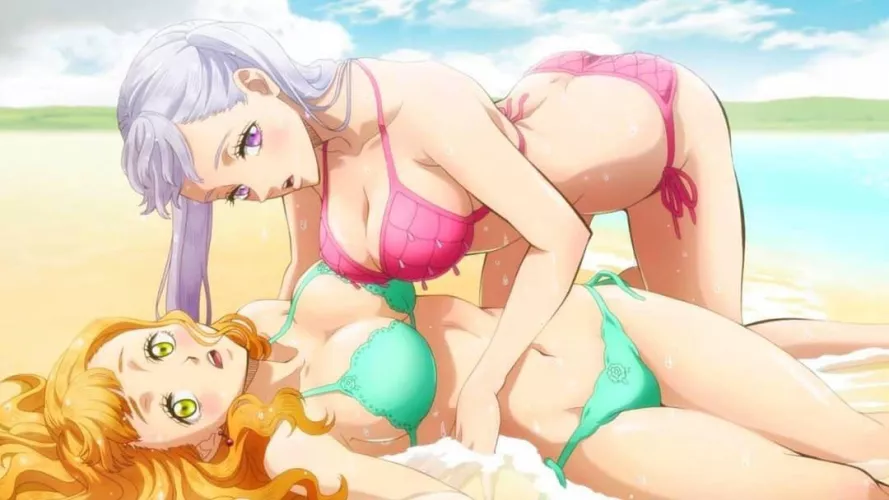 Noelle And Mimosa [Black Clover]