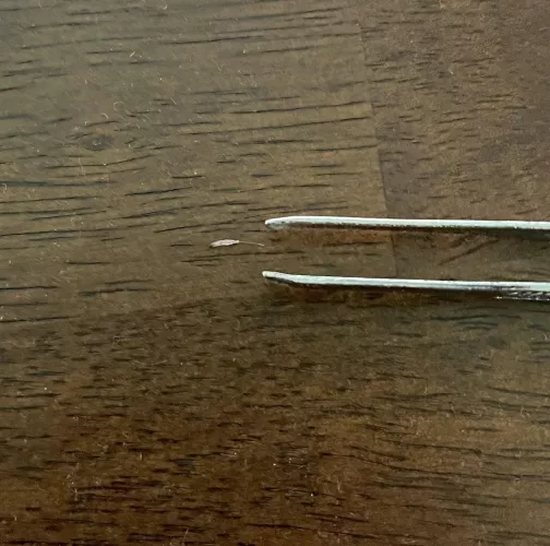 When in doubt… pull the root out!