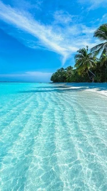 💙💙🌷
